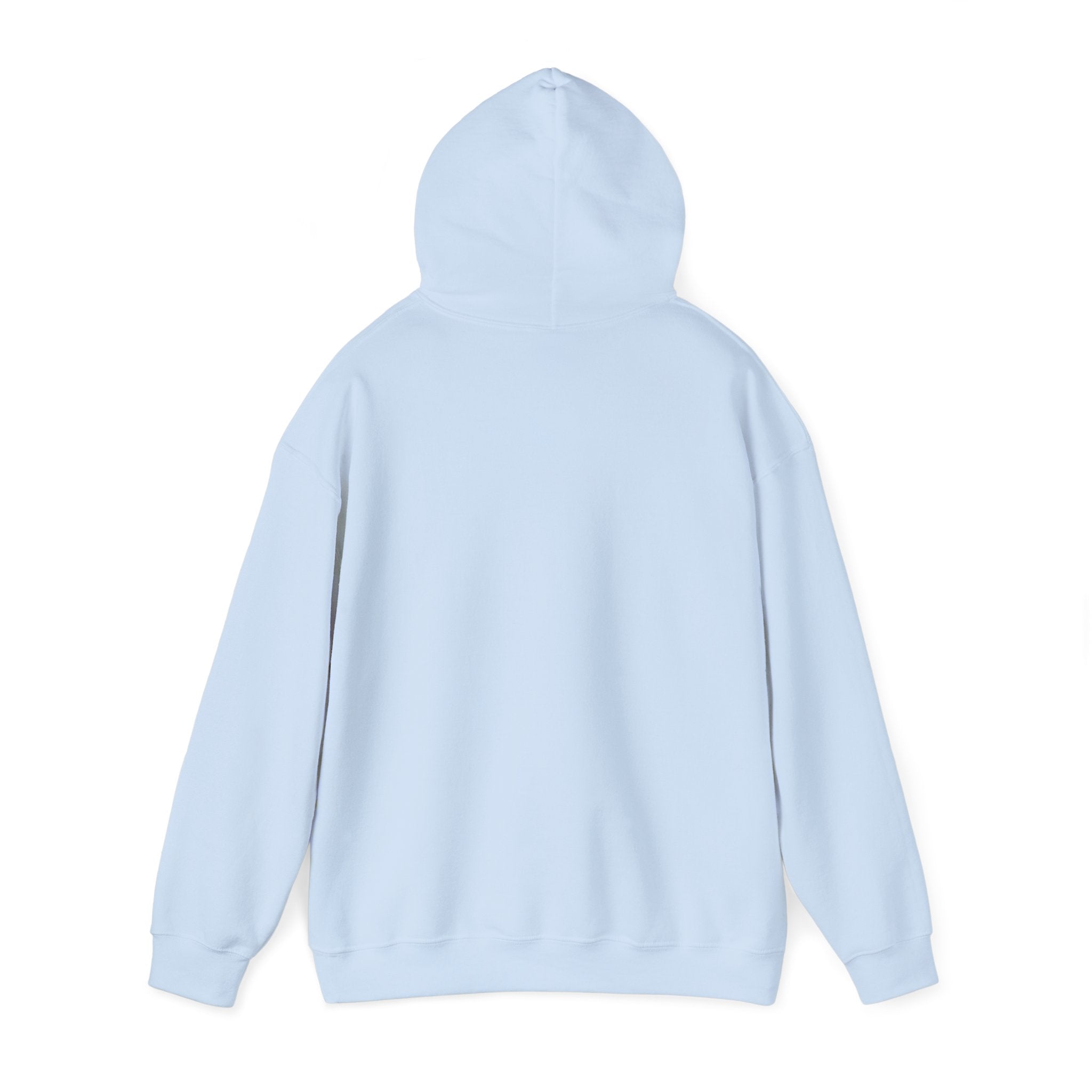 BCSCPT - Board Certified Sterile Compounding Pharmacy Technician Hooded Sweatshirt