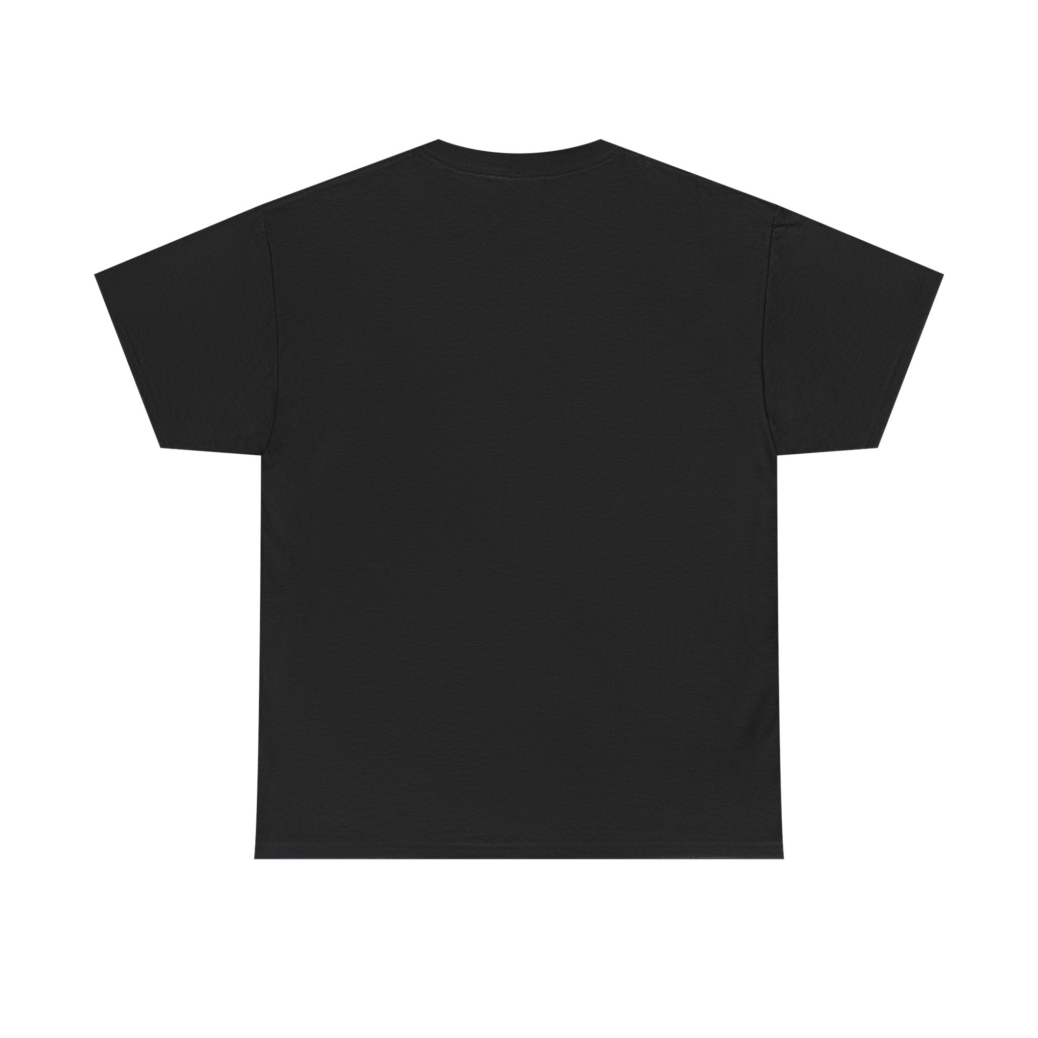 Halloween 2025 Wicked Accurate Shirt