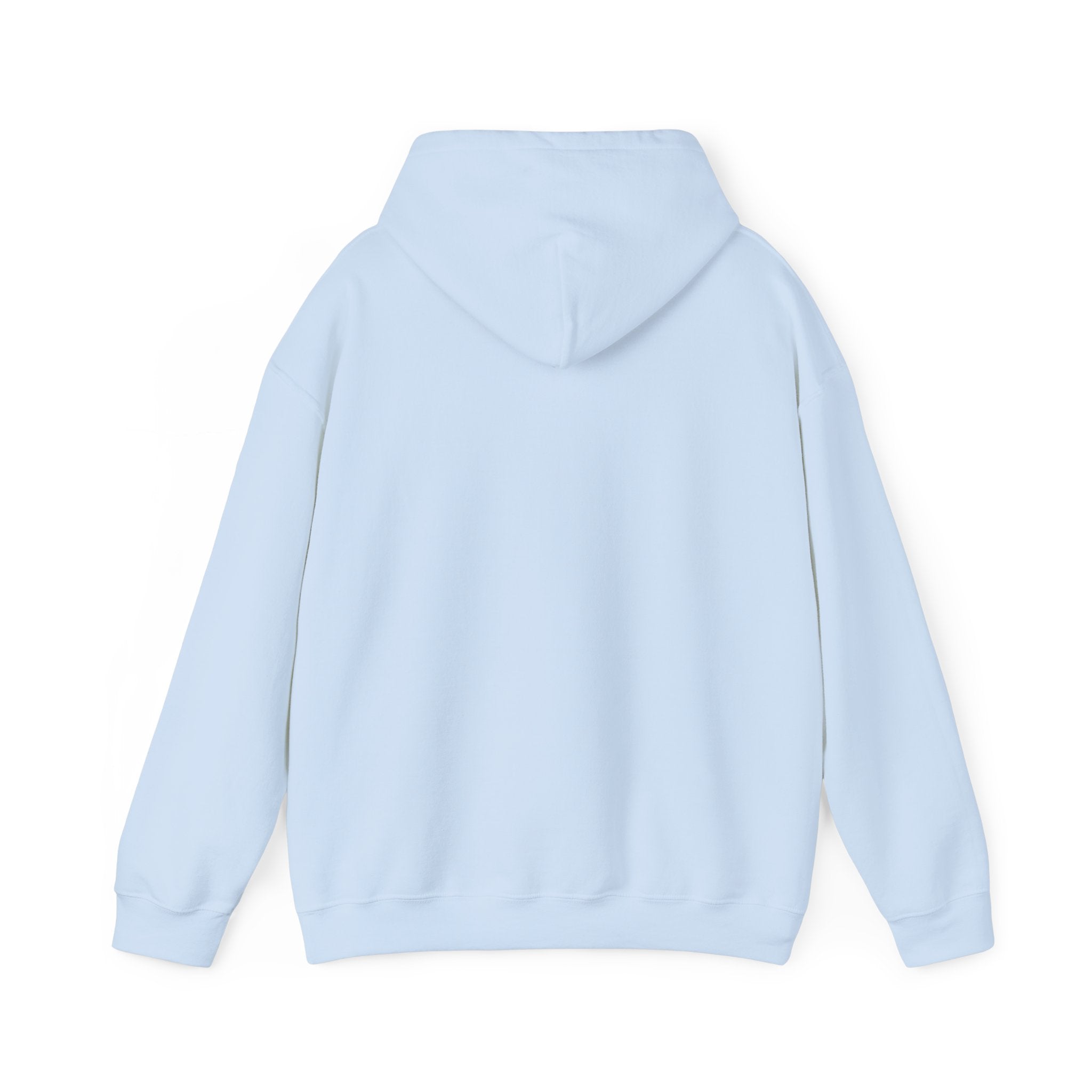 BCSCPT - Board Certified Sterile Compounding Pharmacy Technician Hooded Sweatshirt