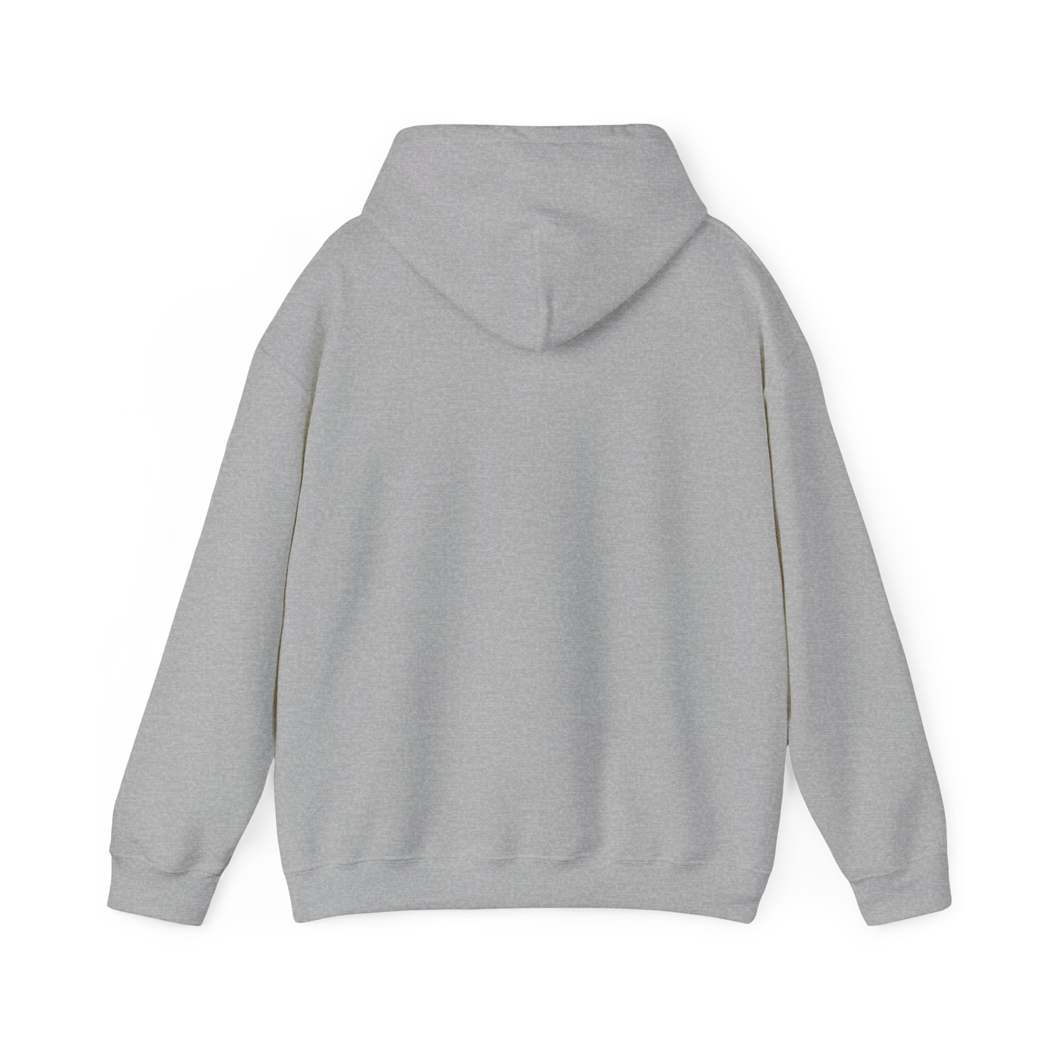 BCSCPT - Board Certified Sterile Compounding Pharmacy Technician Hooded Sweatshirt