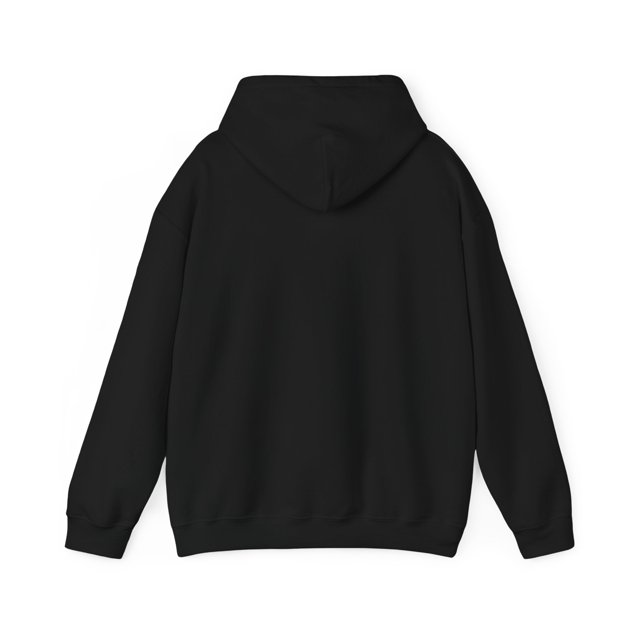 BCSCPT - Board Certified Sterile Compounding Pharmacy Technician Hooded Sweatshirt