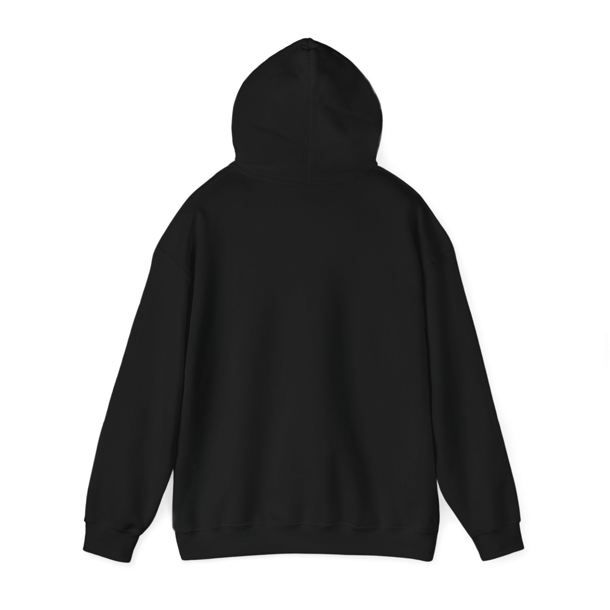 BCSCPT - Board Certified Sterile Compounding Pharmacy Technician Hooded Sweatshirt