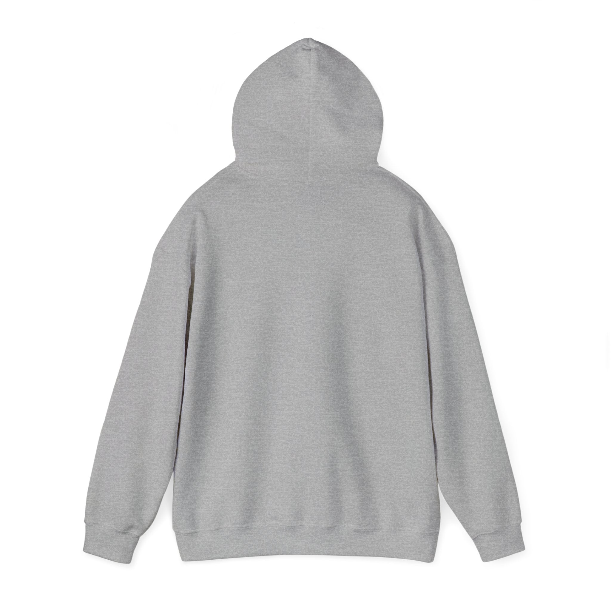 BCSCPT - Board Certified Sterile Compounding Pharmacy Technician Hooded Sweatshirt