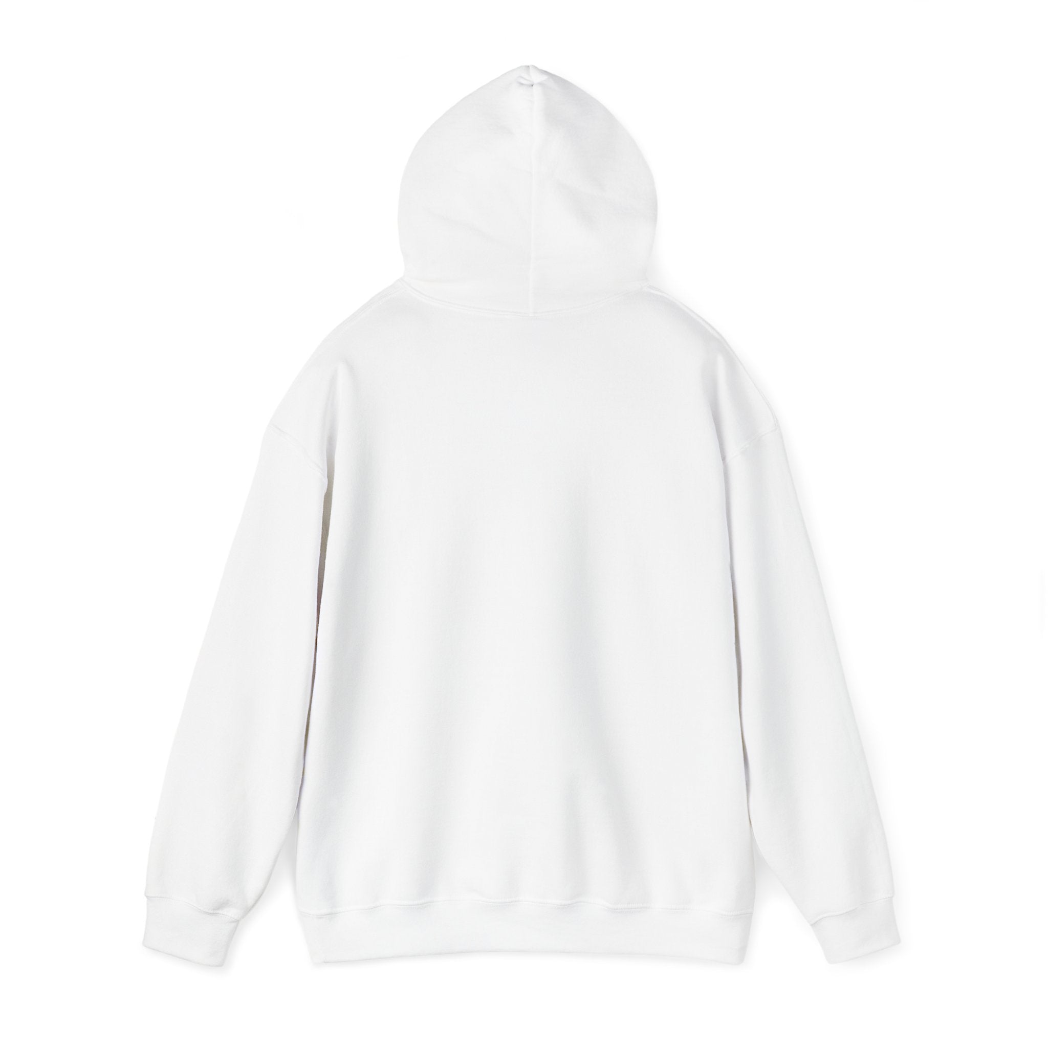 BCSCPT - Board Certified Sterile Compounding Pharmacy Technician Hooded Sweatshirt